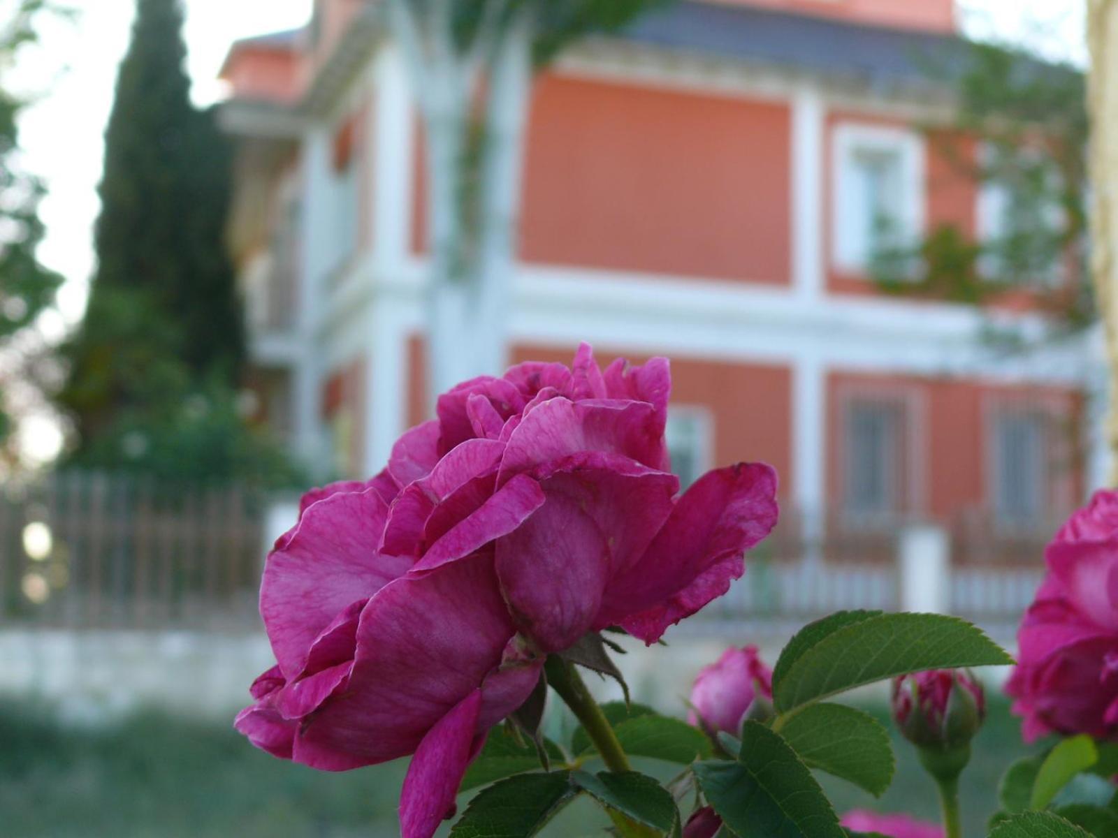 La Casa Grande De Gormaz Villa Quintanas de Gormaz Esterno foto